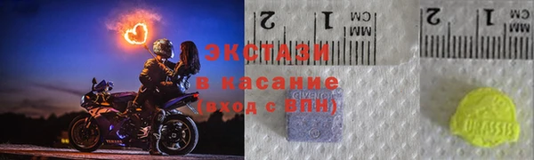стаф Алексин