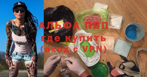 стаф Алексин