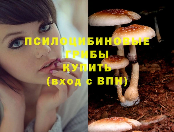 стаф Алексин