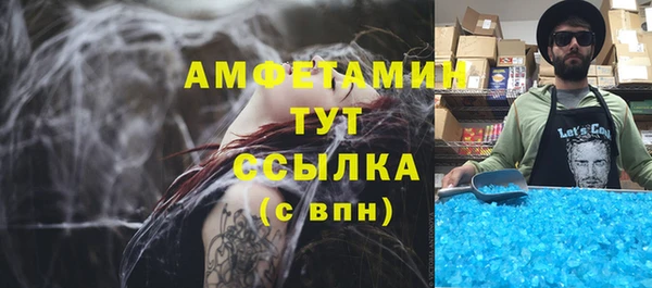 стаф Алексин