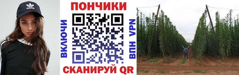 Марихуана Amnesia Красноярск